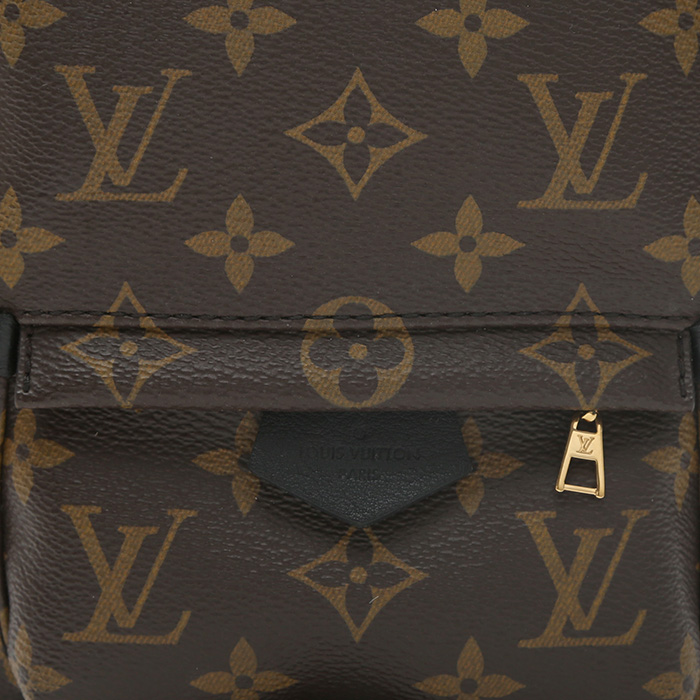 Zaino Louis Vuitton  Palm Springs Backpack Mini in tela monogram marrone e pelle nera - Detail D1
