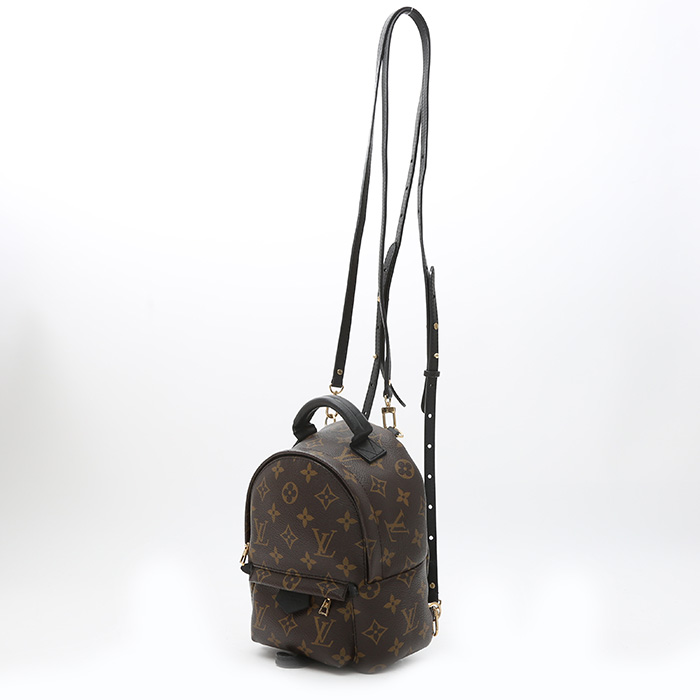 Louis Vuitton  Palm Springs Backpack Mini backpack  in brown monogram canvas  and black leather - Detail D2