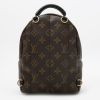 Mochila Louis Vuitton  Palm Springs Backpack Mini en lona Monogram marrón y cuero negro - Detail D8 thumbnail