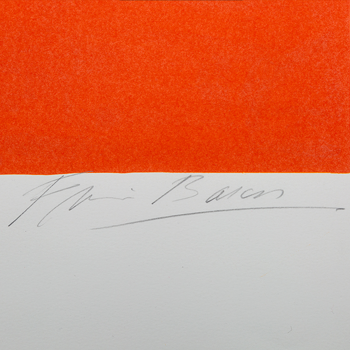 Francis Bacon, "Triptych" (Center), lithograph in colors on paper, signed, of 1983 - Detail D2
