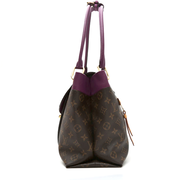Borsa Louis Vuitton  Olympe in pelle viola e naturale e tela monogram marrone - Detail D6