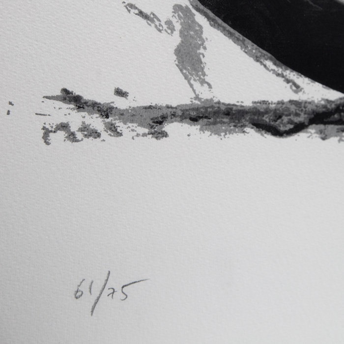 Estampa Bernar Venet 400688 | Collector Square