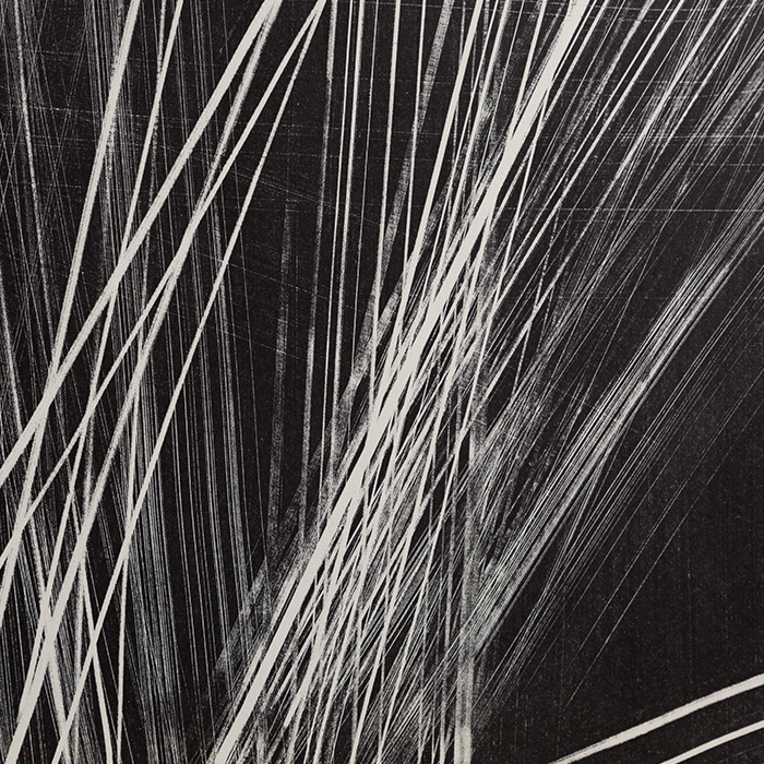 Hans Hartung, "L 1966-19", lithographie sur papier, signée et annotée EA, de 1966 - Detail D1
