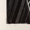 Hans Hartung, "L 1966-19", lithograph on paper, signed and annotated EA, of 1966 - Detail D3 thumbnail