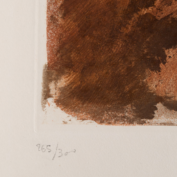 Georges Braque (1882-1963) Vase de fleurs jaunes - 1960, Eau-forte en couleurs sur papier - Detail D3