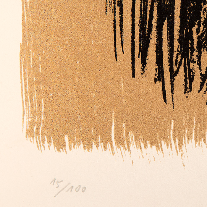 Hans Hartung, "L27", lithographie en couleurs sur papier, signée et numérotée, de 1957 - Detail D3