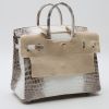 Bolso de mano Hermès  Birkin 25 cm Himalaya en cocodrilo niloticus blanco - Detail D4 thumbnail