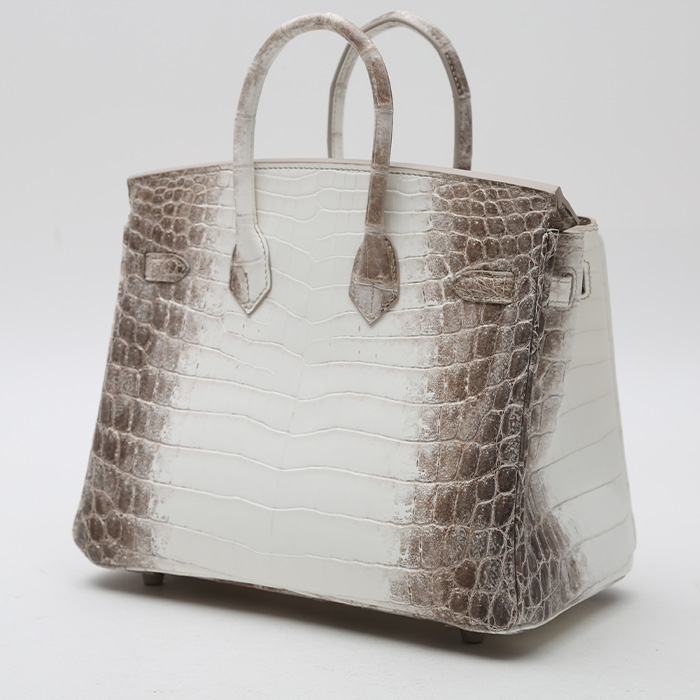 Borsa Hermès  Birkin 25 cm Himalaya in coccodrillo niloticus bianco - Detail D8