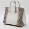 Hermès  Birkin 25 cm handbag Himalaya in white niloticus crocodile - Detail D8 thumbnail