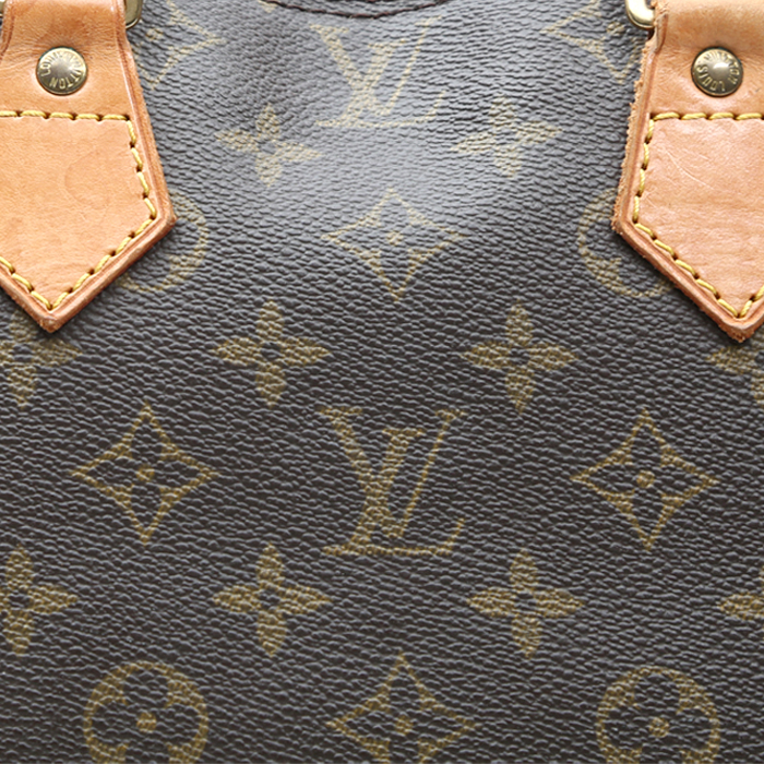 Sac à main Louis Vuitton  Alma en toile monogram marron et cuir naturel - Detail D1