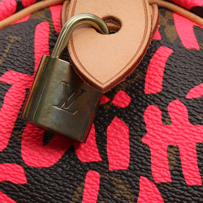 Borsa Louis Vuitton  Speedy Editions Limitées in tela monogram marrone e rosa e pelle naturale - Detail D1