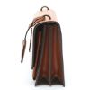 Borsa a tracolla Saint Laurent  Sunset in pelle marrone - Detail D5 thumbnail