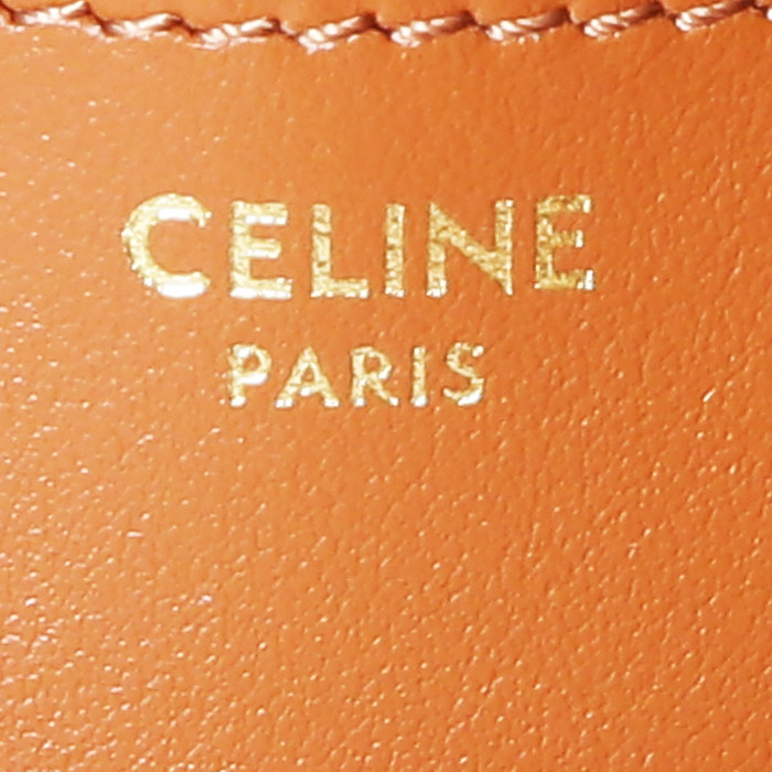 Borsa a spalla Celine  Tabou modello medio  in tela "Triomphe" e pelle marrone - Detail D4