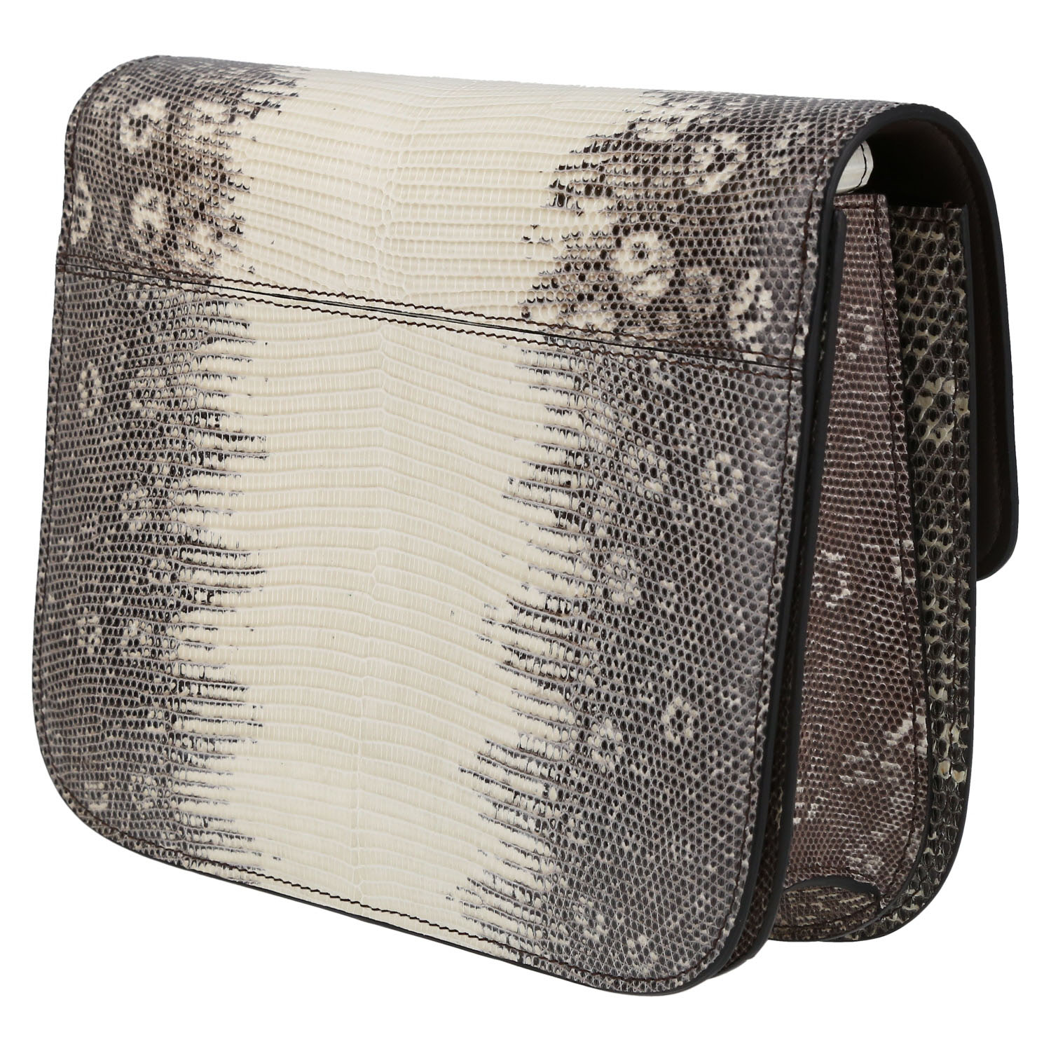 Celine  Classic Box shoulder bag  in grey-beige lizzard - Detail D5