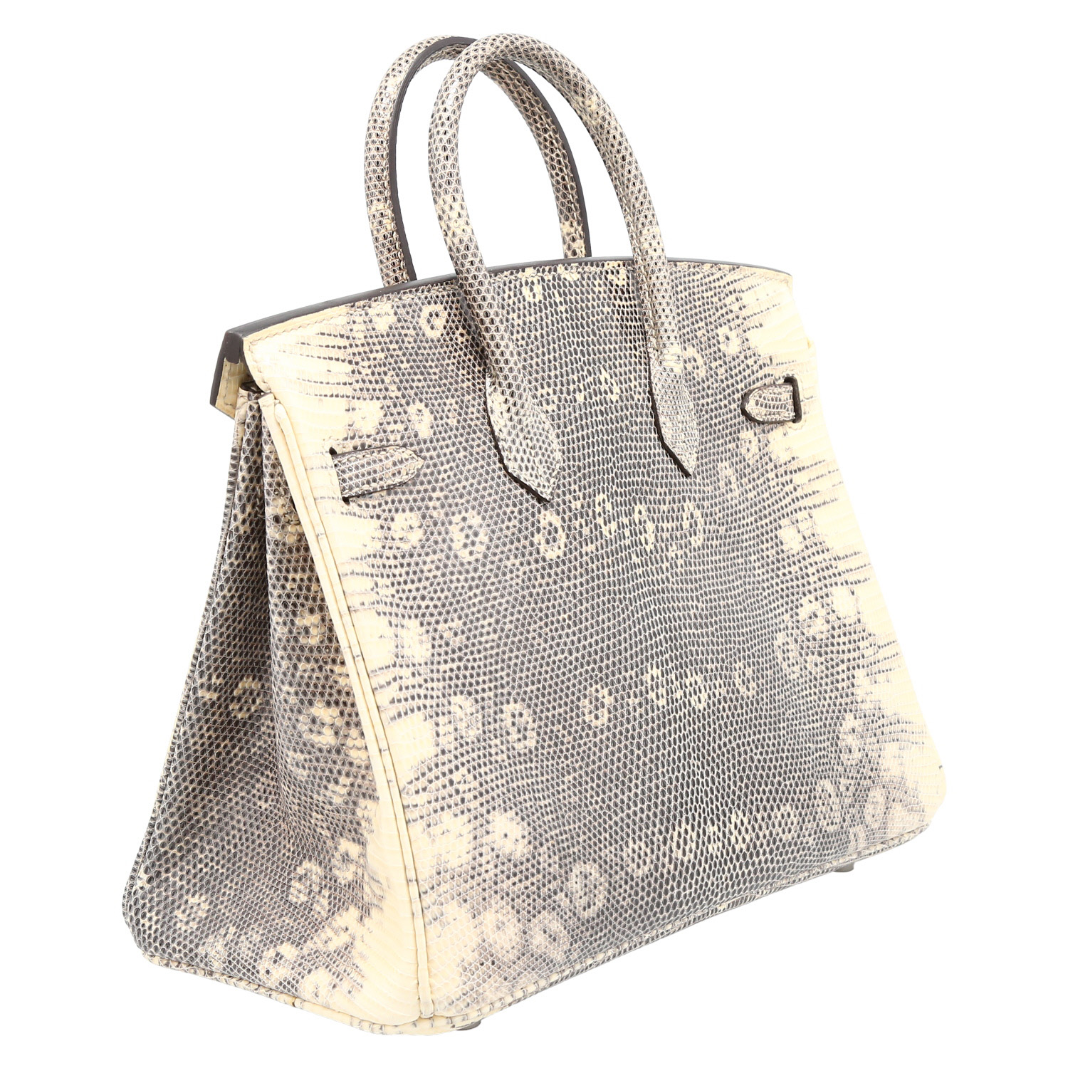 Borsa Hermès  Birkin 25 cm in lucertola grigia e beige - Detail D6