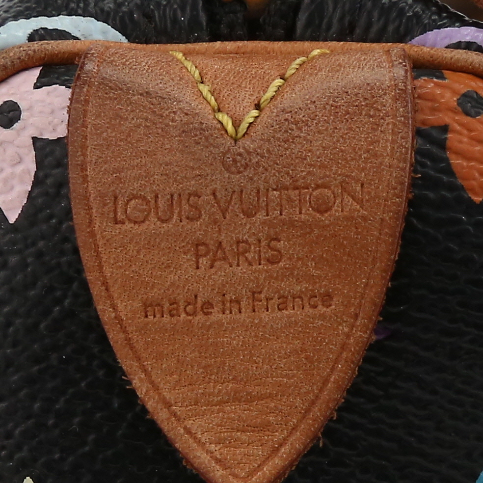 Louis Vuitton  Speedy Editions Limitées handbag  in multicolor and black monogram canvas  and natural leather - Detail D2