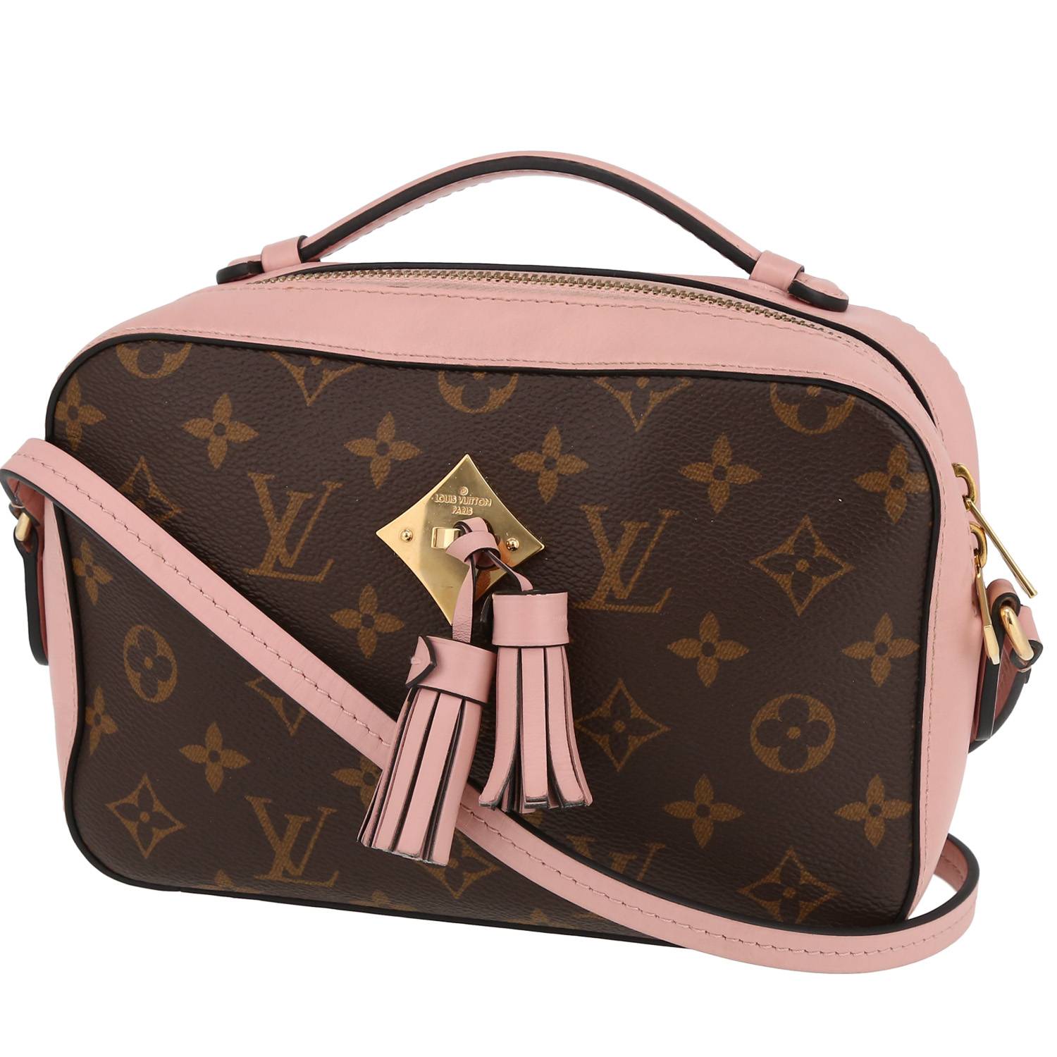 louis vuitton purse with braided handle