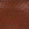 Bolso bandolera Louis Vuitton  Jeune Fille en lona Monogram marrón y cuero natural - Detail D2 thumbnail