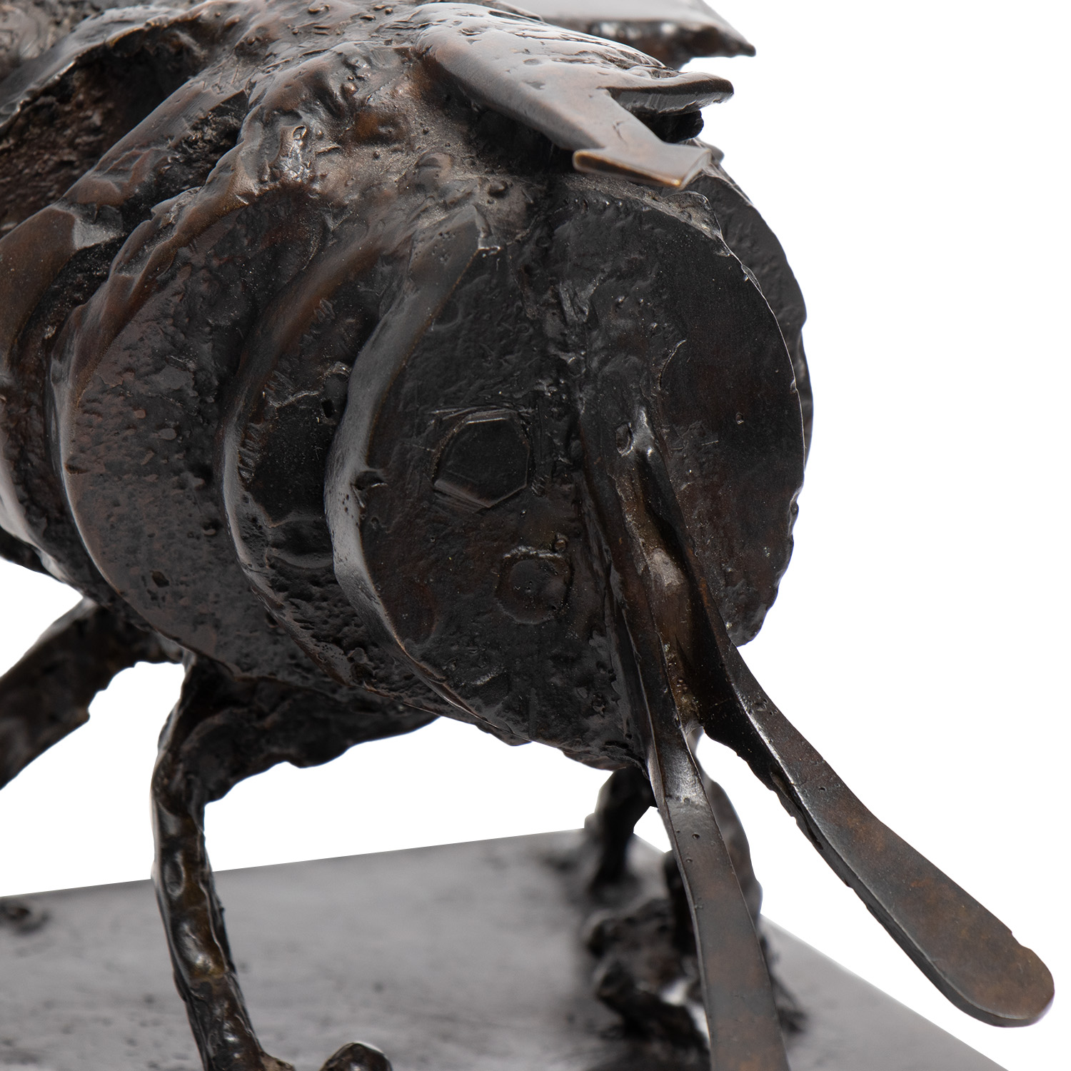 César (César Baldaccini, dit) (1921-1998), Le Bourdon - 1958/75 - Detail D1