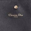 Sac bandoulière Dior  Diorama Wallet on Chain en cuir irisé gris - Detail D2 thumbnail