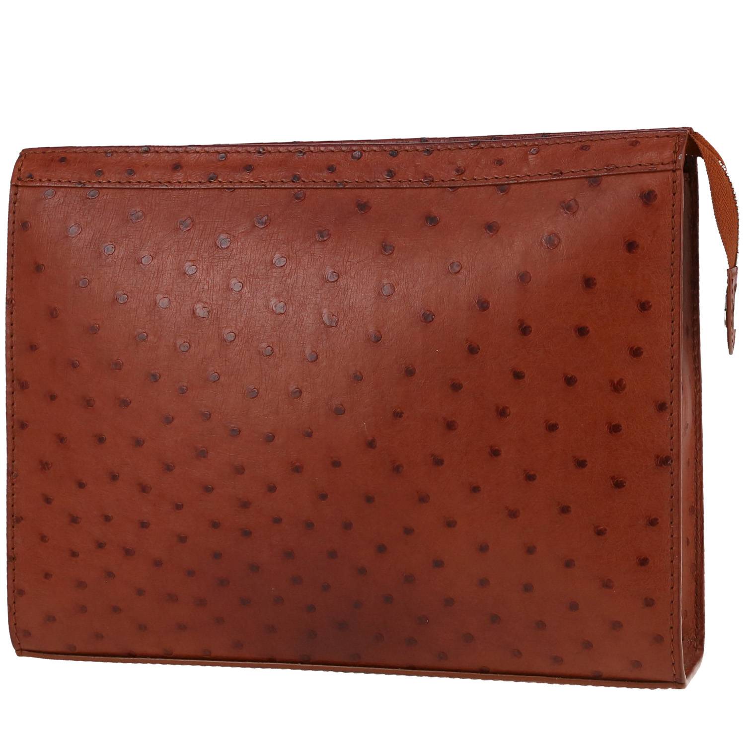 Pochette Louis Vuitton   en autruche multicolore marron