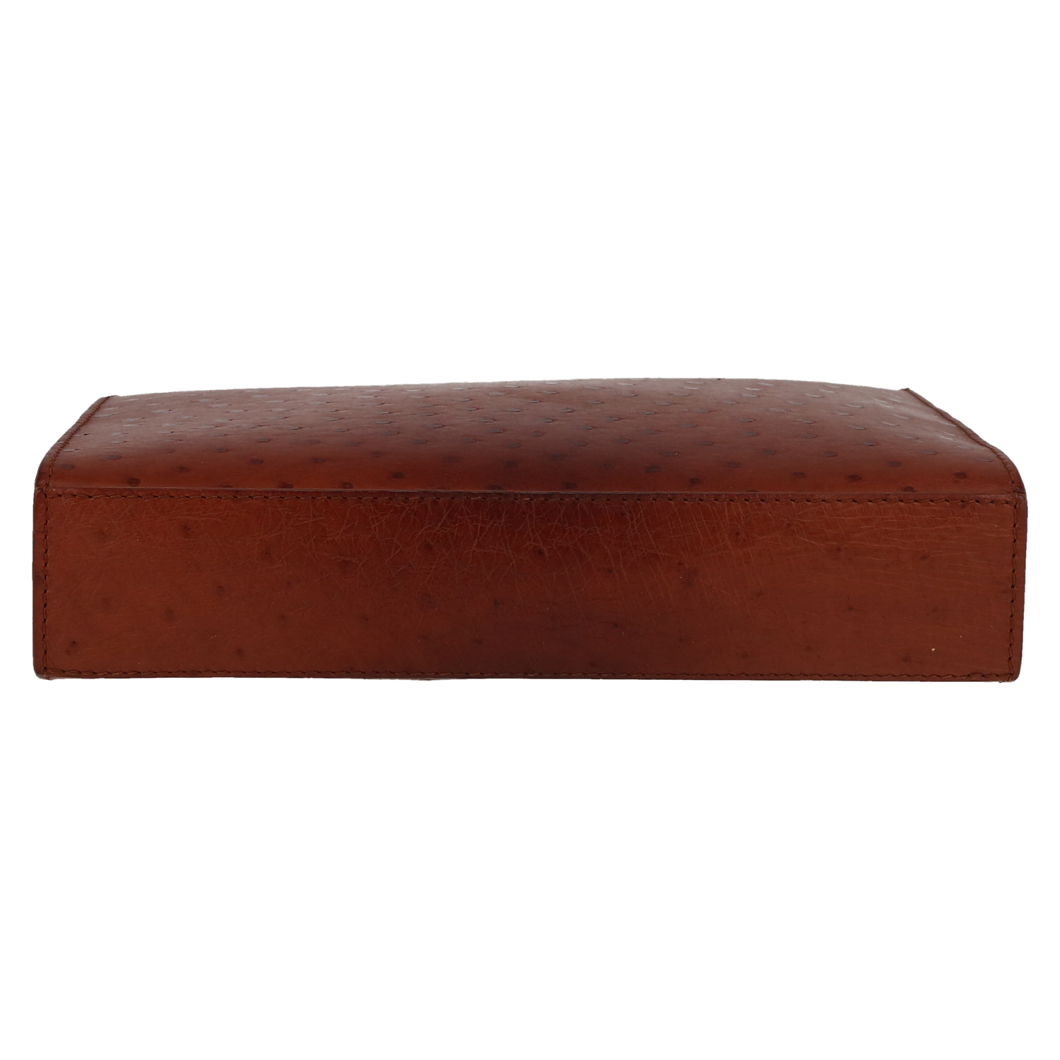 Louis Vuitton   pouch  in brown multicolor  ostrich leather - Detail D1