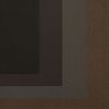 Josef Albers (1888-1976), Day + Night : Homage to the Square, Planche X - 1963 - Detail D1 thumbnail