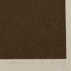 Josef Albers (1888-1976), Day + Night : Homage to the Square, Planche X - 1963 - Detail D2 thumbnail