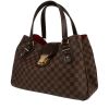 Louis Vuitton  Sistina handbag  in brown damier canvas  and brown leather - 00pp thumbnail