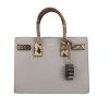 Saint Laurent  Sac de jour medium model  handbag  in grey pearl leather  and beige python - 360 thumbnail