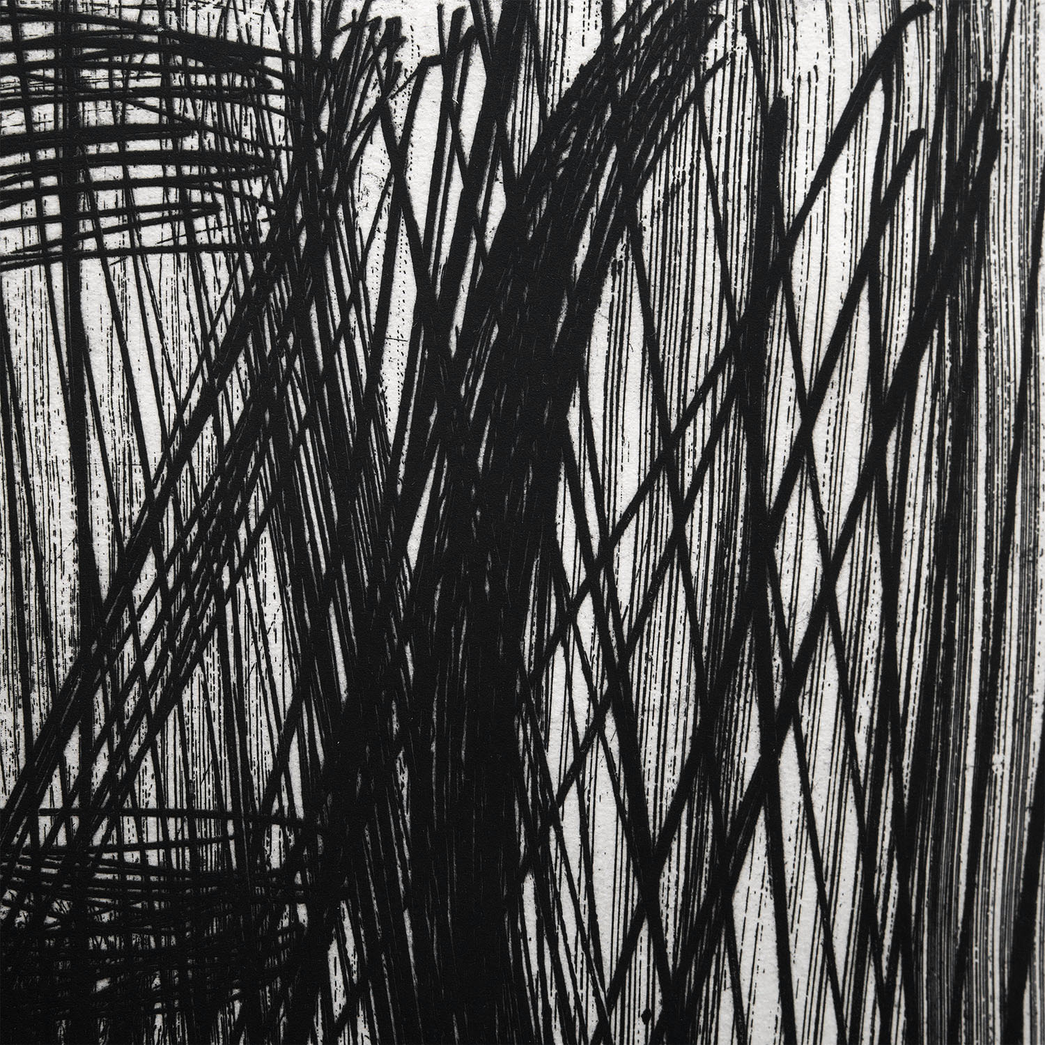 Hans Hartung (1904-1989), G7 - 1953 - Detail D1