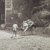 Frédéric Boissonnas, Photograph of a child and a donkey behind the entrance to the convent of Megaspileon in Athens - 1900-1910 - Detail D1 thumbnail