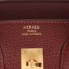 Hermès  Birkin 25 cm handbag  in red H togo leather - Detail D2 thumbnail