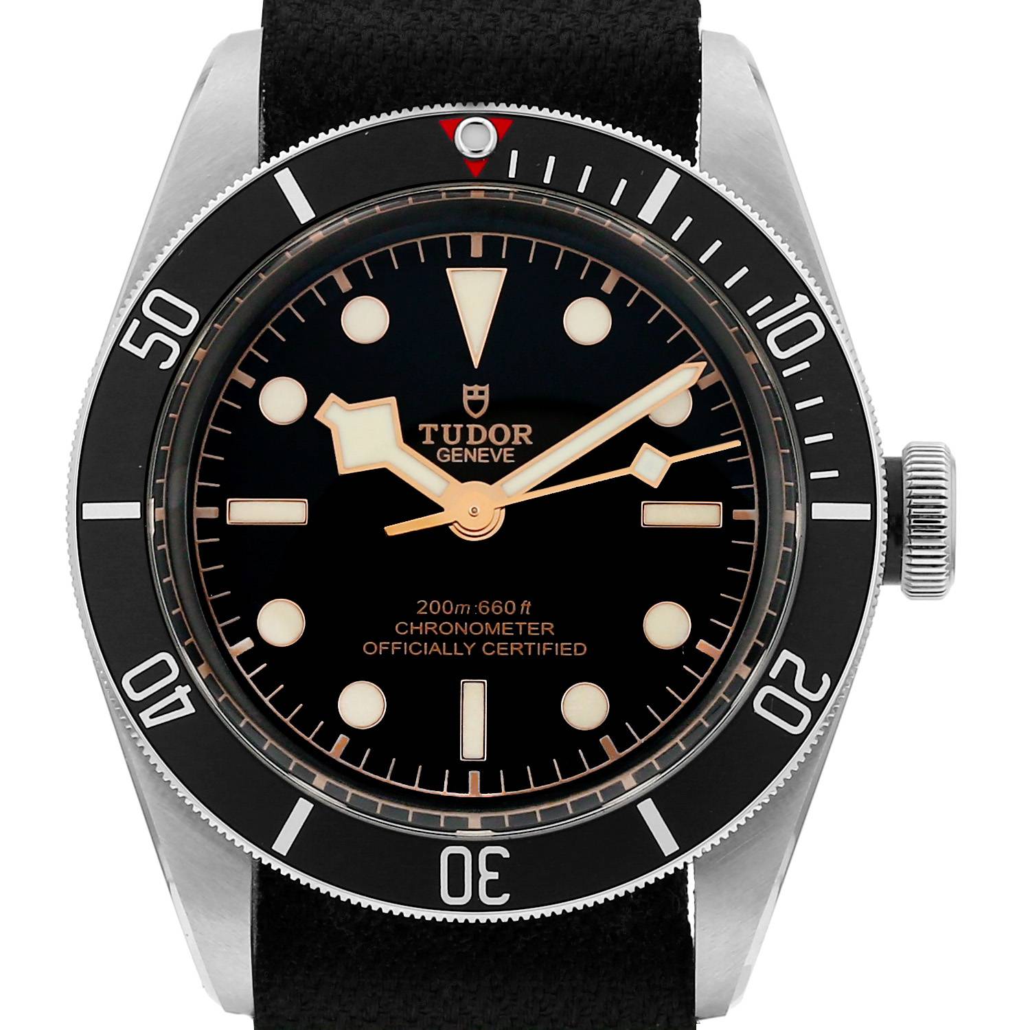 Tudor heritage black bay 79230 hot sale