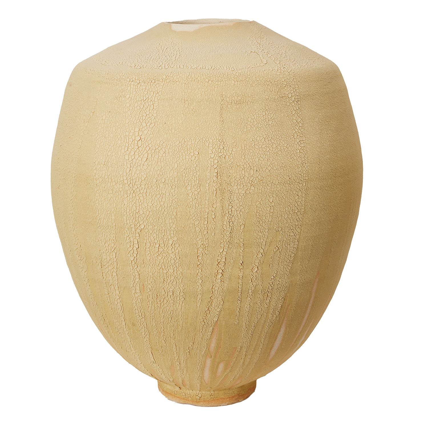 Karen Swami (XX-XXI), Galuchat doré 111 - 2023 - Detail D1