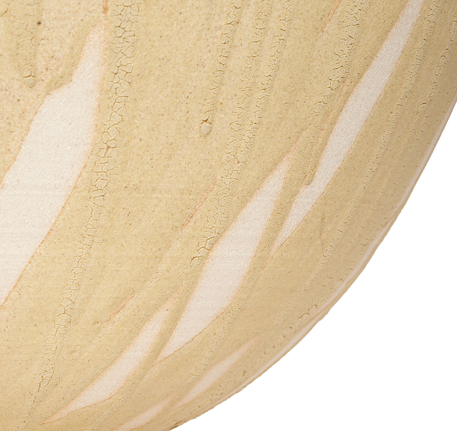 Karen Swami (XX-XXI), Galuchat doré 111 - 2023 - Detail D3