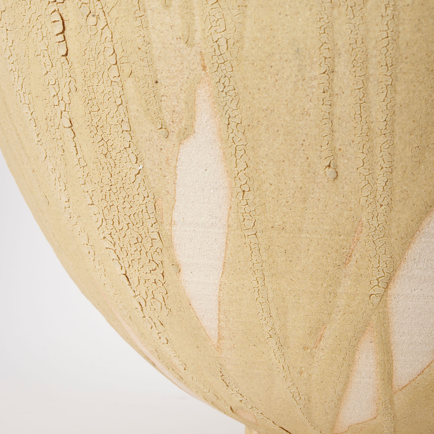 Karen Swami (XX-XXI), Galuchat doré 111 - 2023 - Detail D4