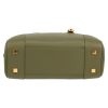 Loewe  Amazona handbag  in green leather - Detail D1 thumbnail