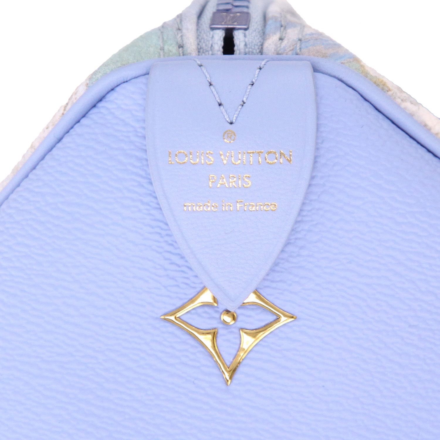 Louis Vuitton Speedy Editions Limitées handbag in blue, green and yellow leather - Detail D2