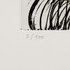 Hans Hartung (1904-1989), G 1973-2 - 1973 - Detail D3 thumbnail