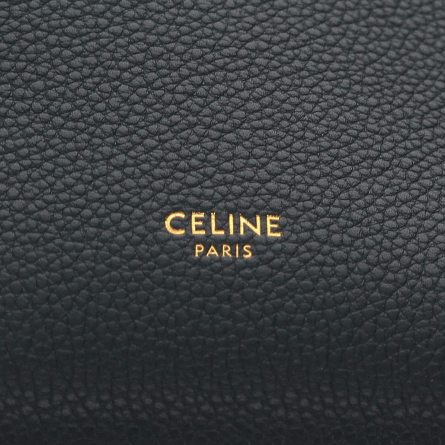 Sac à main Celine  Sac Sangle en cuir grainé vert - Detail D2