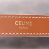 Celine  Ava medium model  handbag  "Triomphe" canvas  and brown leather - Detail D2 thumbnail