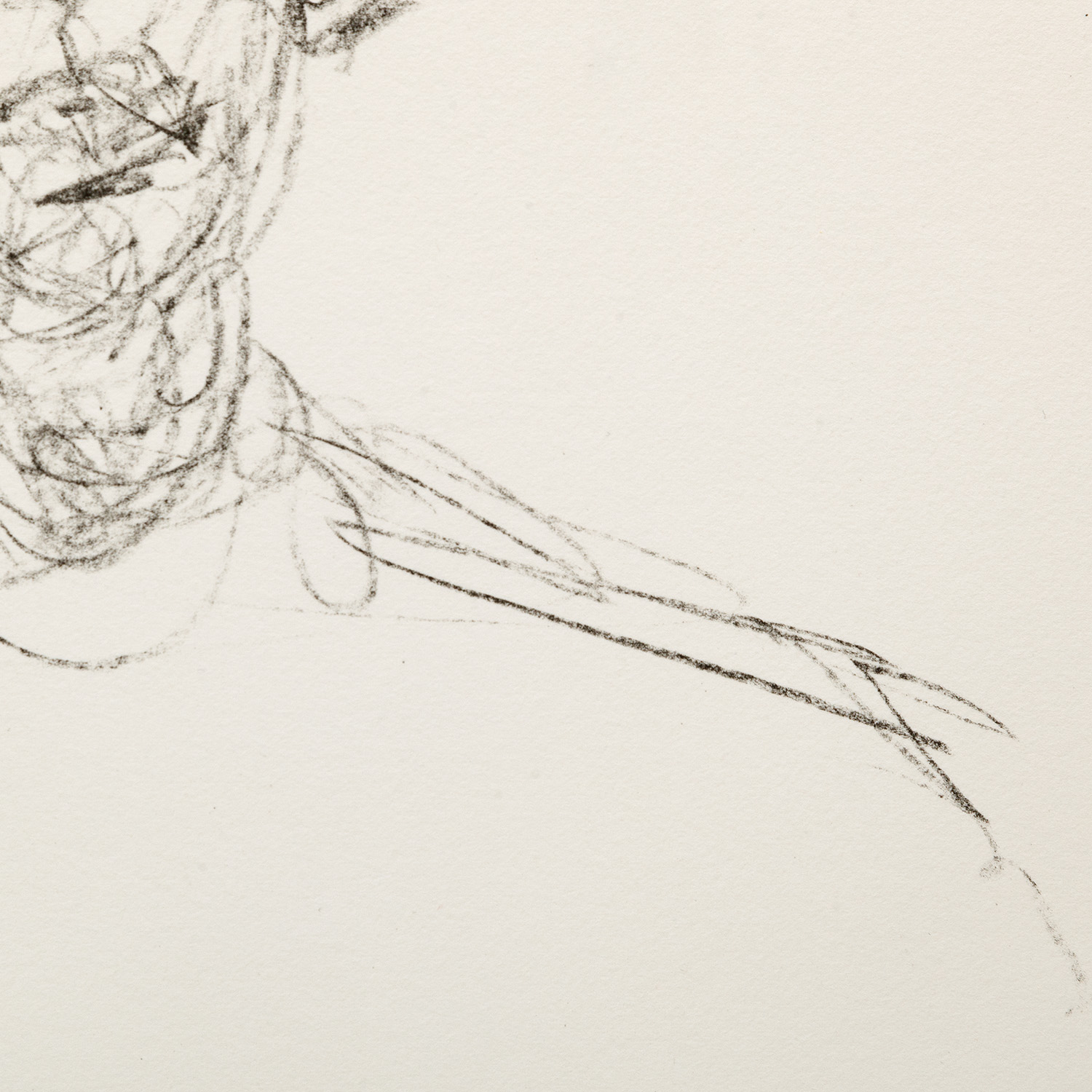 Alberto Giacometti (1901-1966), Tête de jeune homme - 1964 - Detail D2