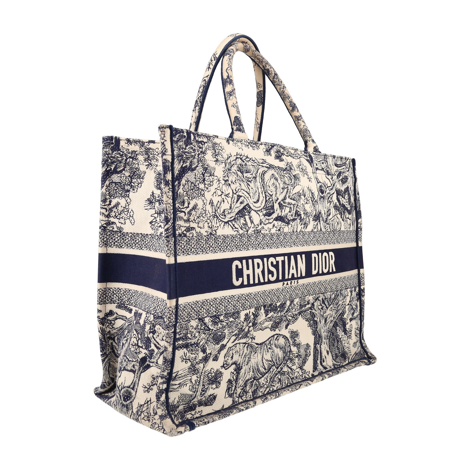 Shopping bag Dior  Book Tote in tela blu e beige - Detail D3