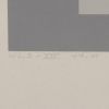 Josef Albers (1888-1976), WLS XIV, from White Line Squares (Series II) - 1966 - Detail D2 thumbnail