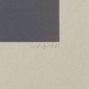 Josef Albers (1888-1976), WLS IX, from White Line Squares (Series II) - 1966 - Detail D3 thumbnail