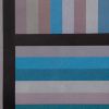 Sol Lewitt (1928-2007), Bands of Color in Four Directions (Vertical) - 1995 - Detail D1 thumbnail