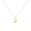 Collana Tiffany & Co Teardrop in oro giallo - 00pp thumbnail