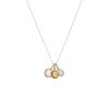 Tiffany & Co  necklace in yellow gold and precious stones - 00pp thumbnail