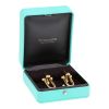 Pendientes Tiffany & Co City HardWear modelo muy grande de oro amarillo - Detail D2 thumbnail